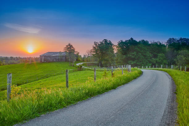 Rolling green landscape with soft sky gradient representing a daily outdoor movement session environment